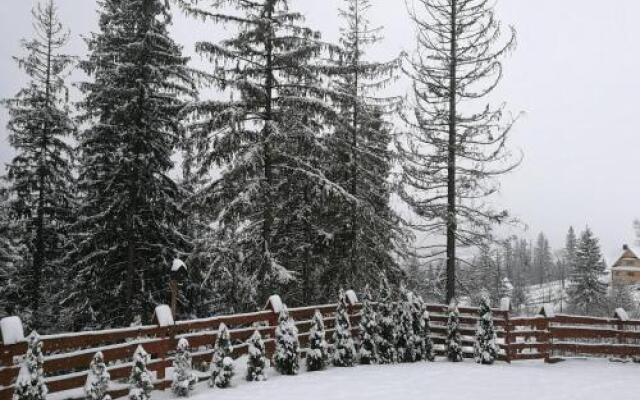 Apartament z kogutem