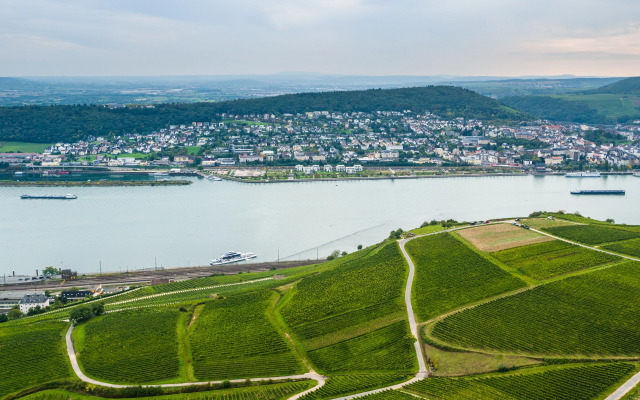 PAPA RHEIN Hotel & Spa