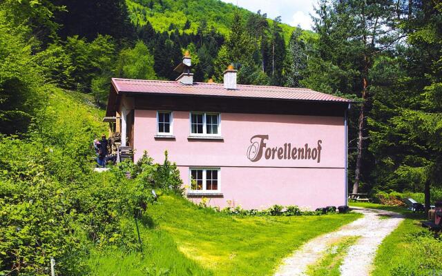 Cosy Apartment on Forellenhof, Zorn Valley, Dabo