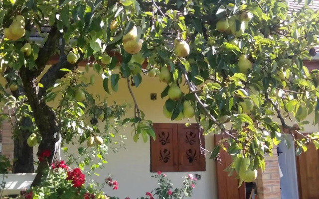 Bari Tanya