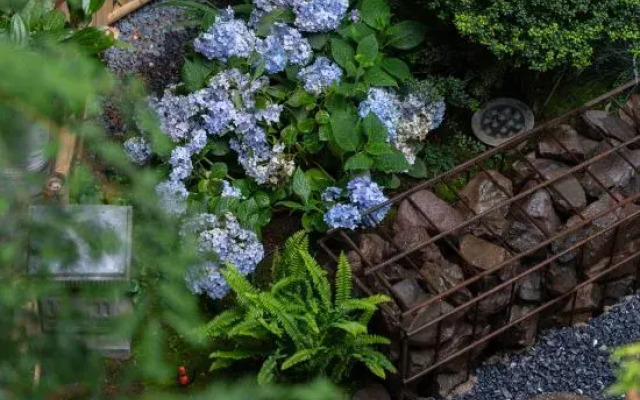 Lijiang Phoenix Health Resort Hotel (Shuhe Ancient Town Branch)