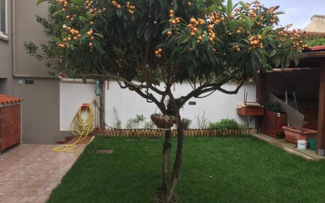 B&B Filomena