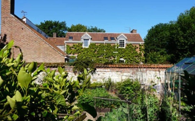 Pine Lodge Bed & Breakfast