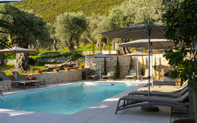 Mashtra The Olive House