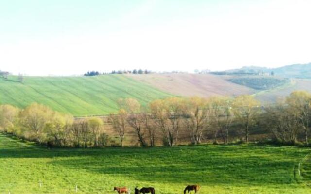 Agriturismo Casale il Gallo Bianco