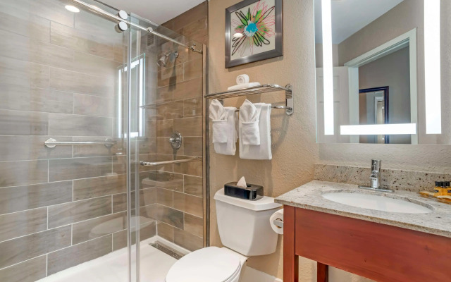 Best Western Plus Greenville I-385 Inn & Suites