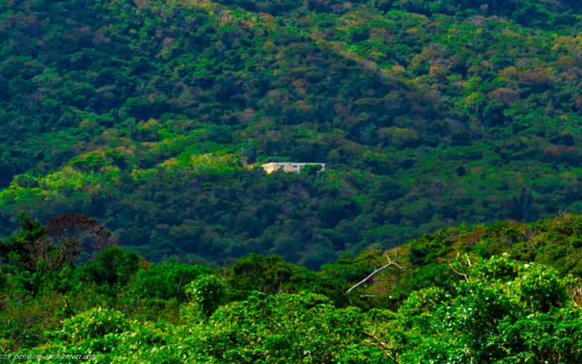 Forest West Nishi