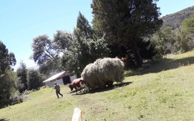 Cabaña Corral Rio Puelo