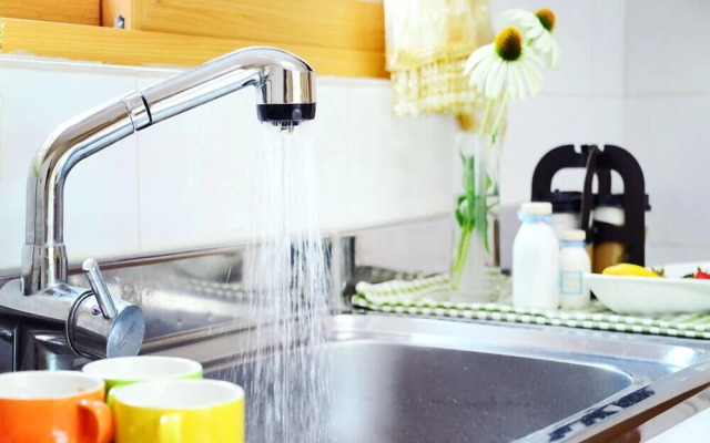 The Tree in the Lake