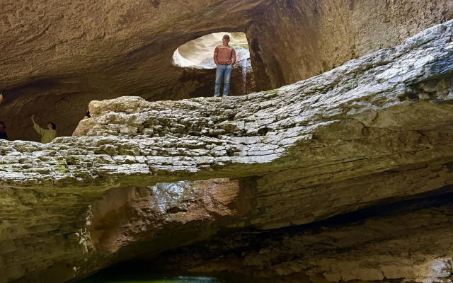 Родное гнездо