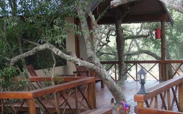 Lion Tree Top Lodge
