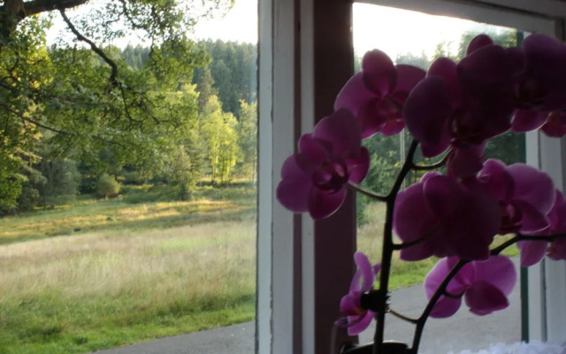 Obere Schweizerhütte