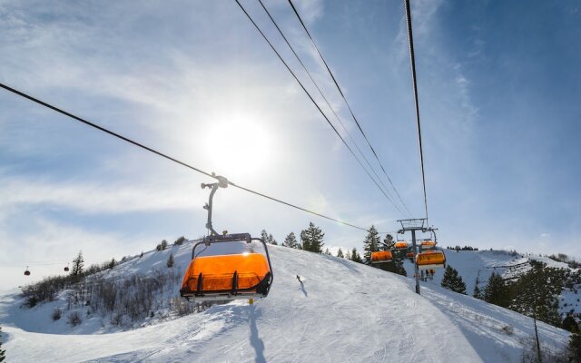 Lowell Unit #221 - Studio Br Condo