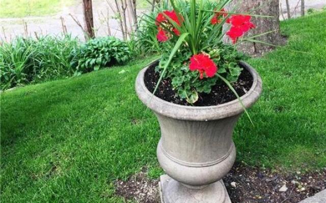 Hillcrest Bed and Breakfast