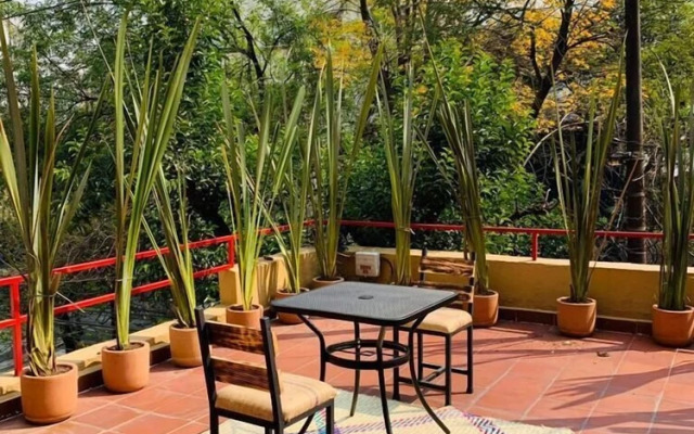 The Reef House Condesa