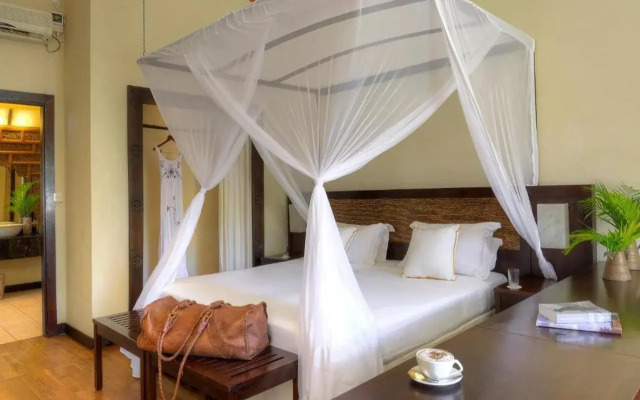 Diamonds Dream of Africa