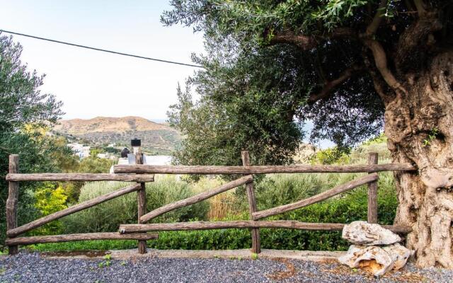 Chic & Spacious House in Rodia Heraklion