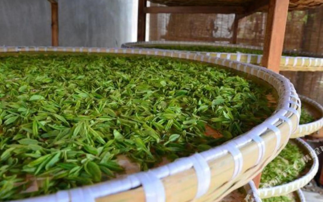 Xuanzhe Tea House Inn