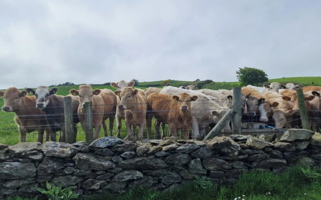 Seaside Bliss Retreat - 5 Bedroom House