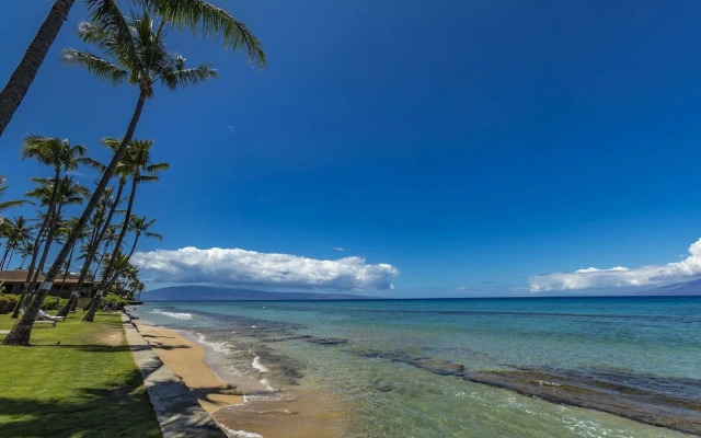 Paki Maui 103