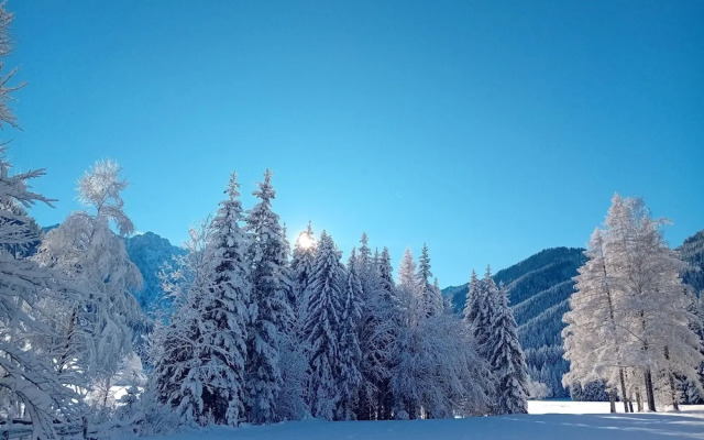 Secluded Apartment in Ferlach near Bodental Ski Lift