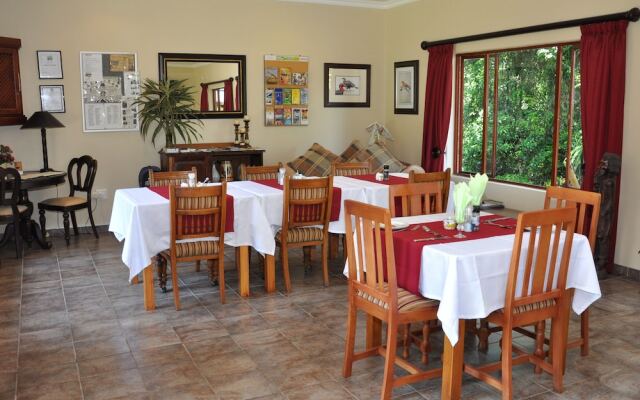 Birds of paradise B&B