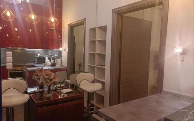 Elegant Apartment