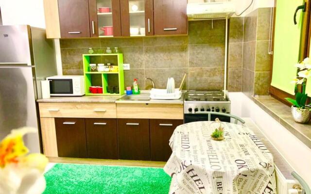 Central 2 bedrooms apartment near Palas Mall