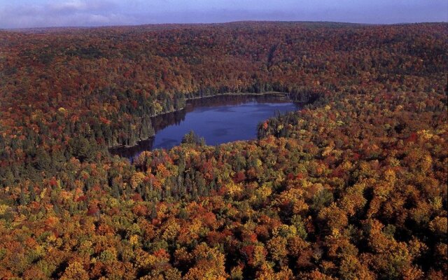 Algonquin Eco-Lodge