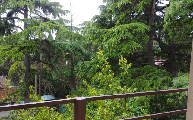 Guesthouse Dmitrieva