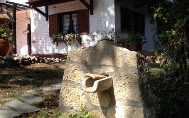 Wild Oaks Cottage