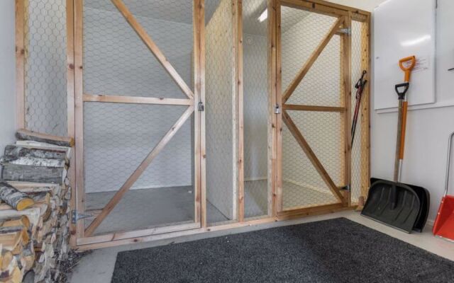House Ameno 3 Viareggio