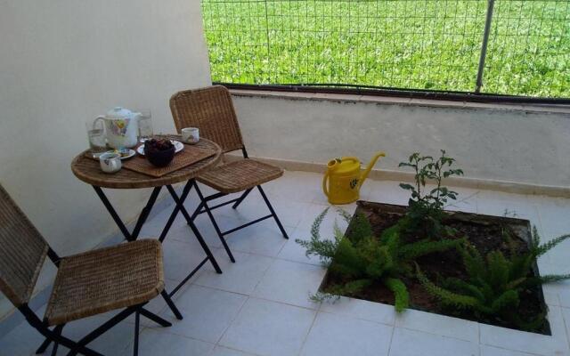 Studio Oasis