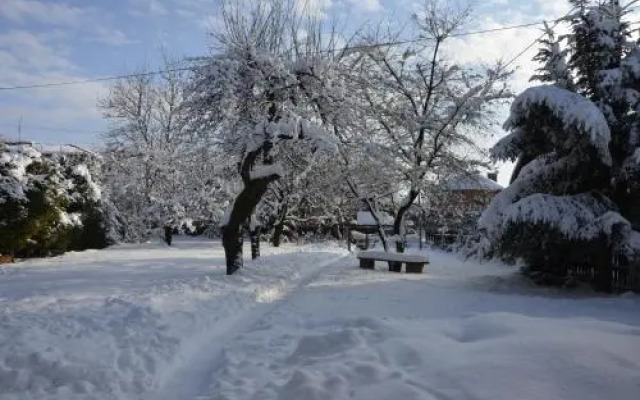 Apartments Sanok