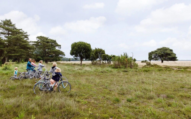 Comfortable Bungalow With a Fireplace, Near Assen