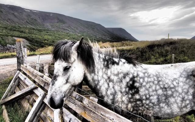 Granastaðir Guesthouse