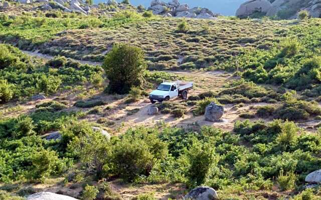 Chambres d'Hôtes Villa Cardellini