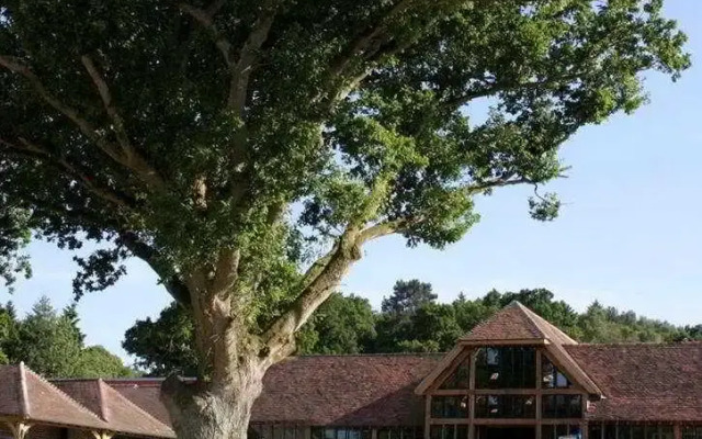 Old Thorns Hotel & Resort
