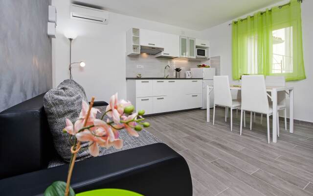 Apartment and Studio Tereza