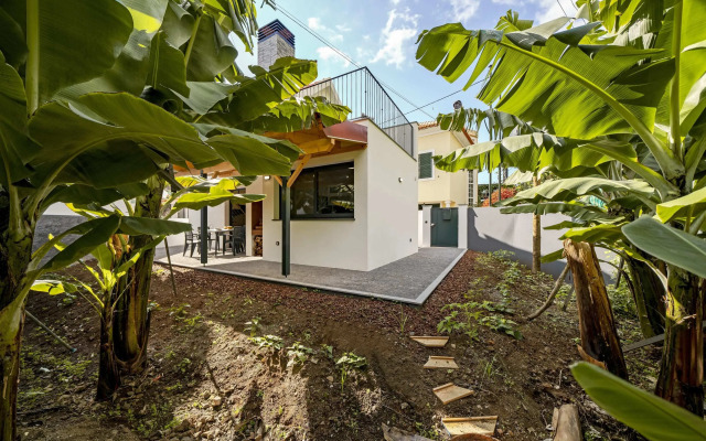 Oscar's House by An Island Apart