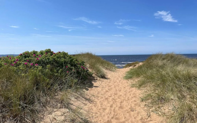 5 Star Holiday Home in Mellbystrand