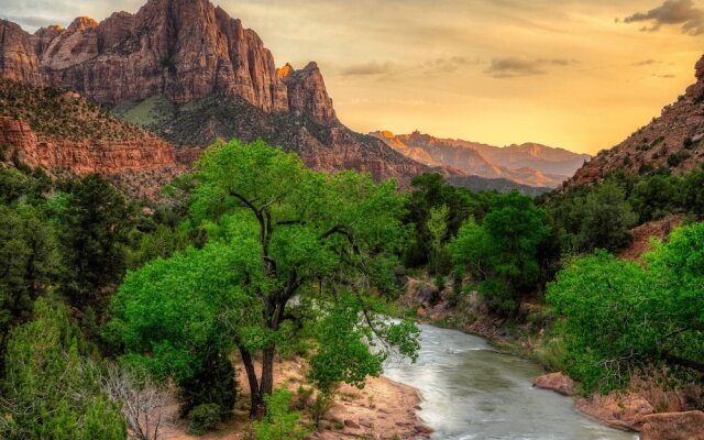 The Sunnyside Haven by RedAwning