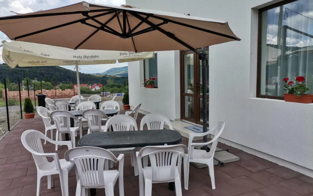 Vila President Sovata