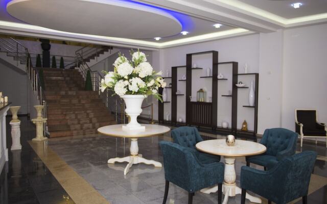 Arta Hotel Timisoara