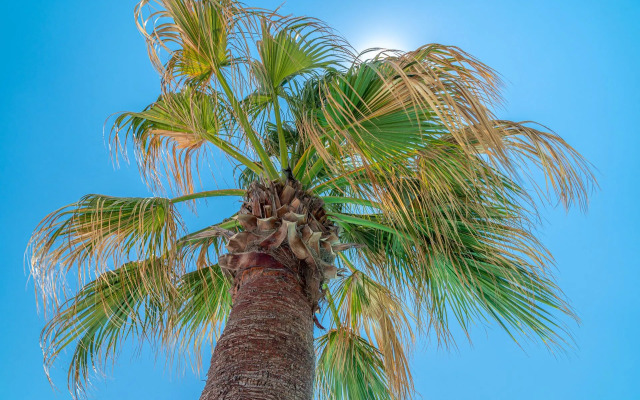 Omnia Boutique Hotel Mykonos