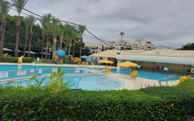 Indigo Tlv