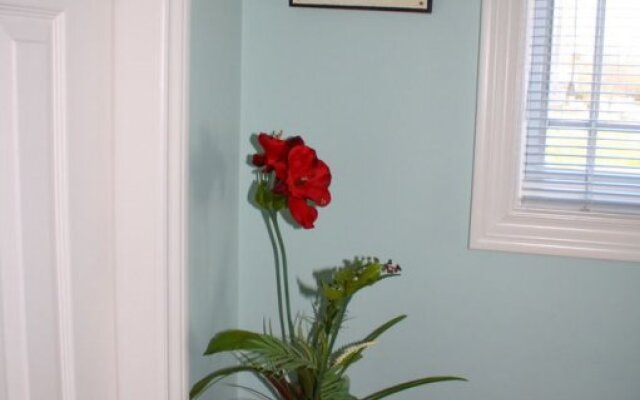 Alandia Bed and Breakfast