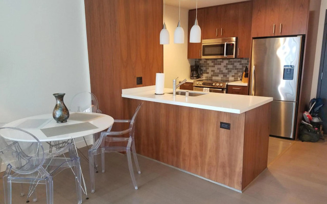 Cityscape Luxury Tower One Bedroom