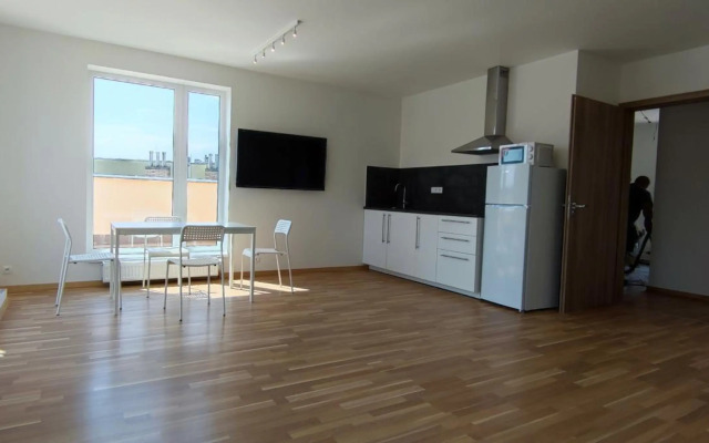 Penthouse with panoramic city view in Elite Rezidence