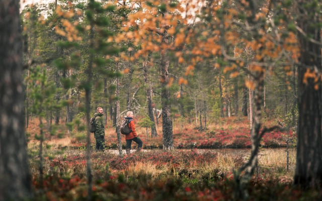 Lapland Hotels Hetta